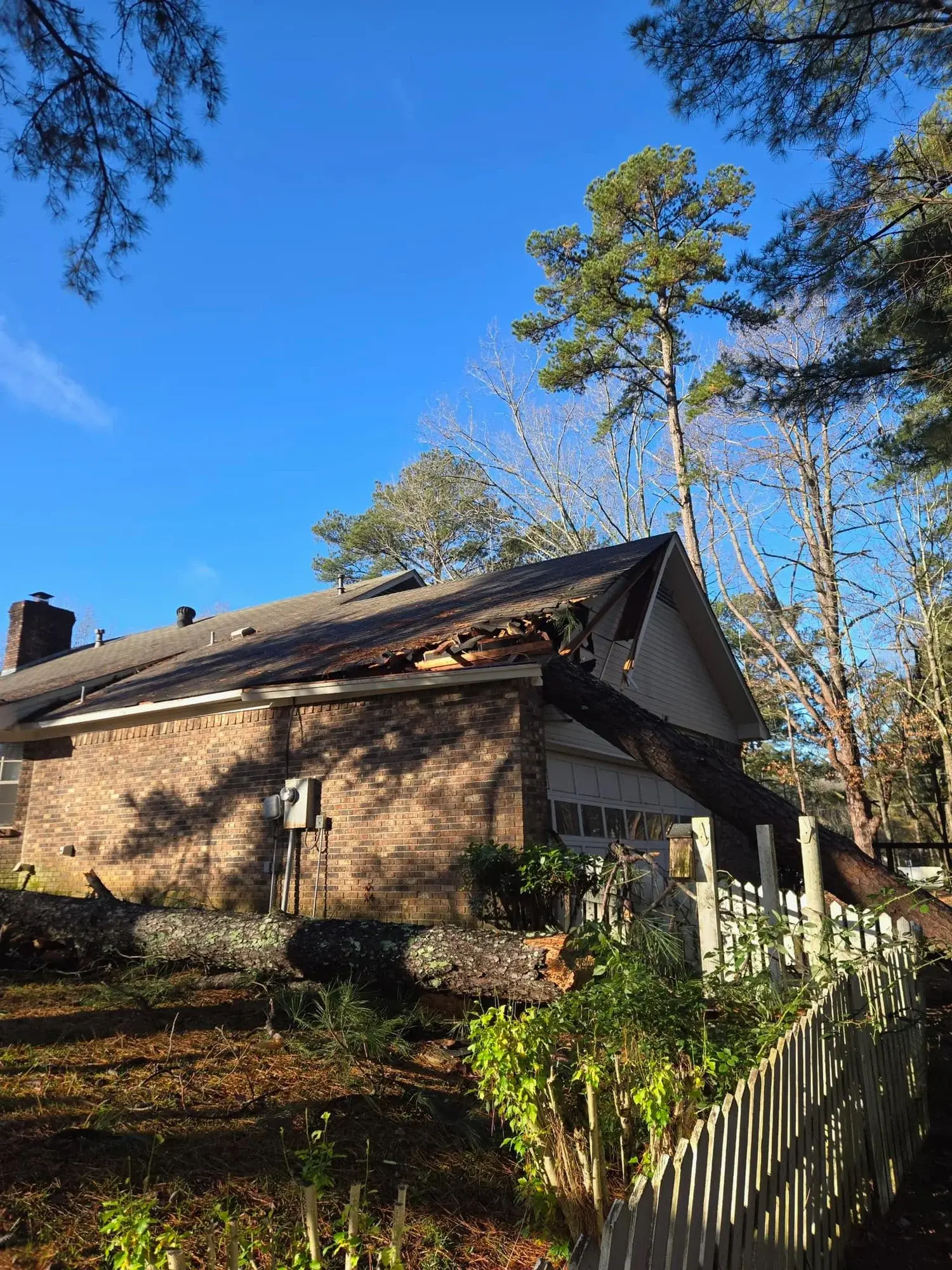 Emergency Tree Removal