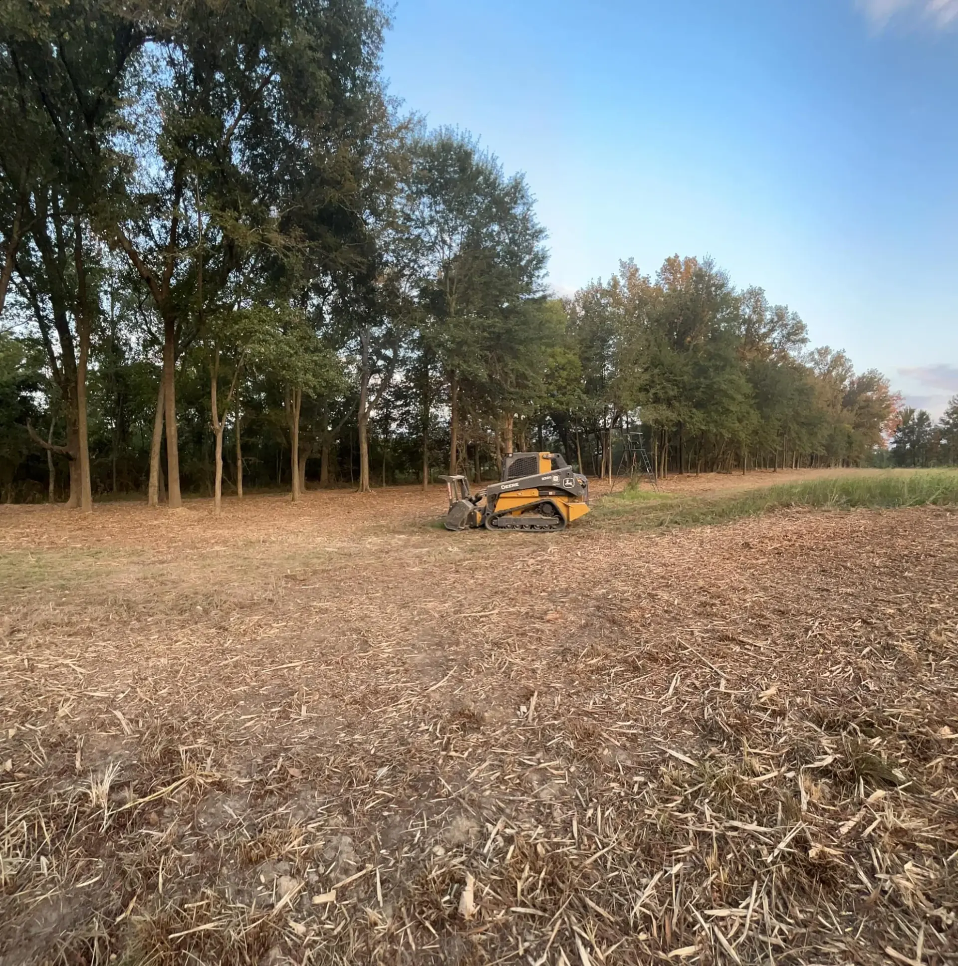 Forestry Mulching